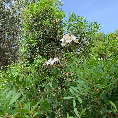 Paradiso * Montegiordano