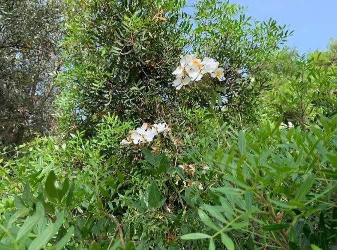 Paradiso * Montegiordano